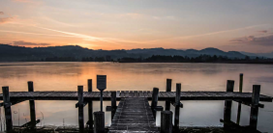 Naturzentrum Pfäffikersee